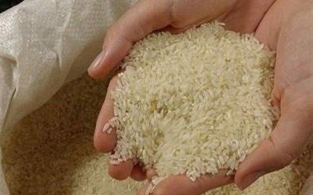 اعلام قیمت انواع برنج خارجی وارداتی و برنج محلی در کهگیلویه و بویراحمد