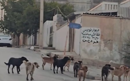 فیلم جنجالی از منطقه یک یاسوج؛ مرکز کهگیلویه و بویراحمد!