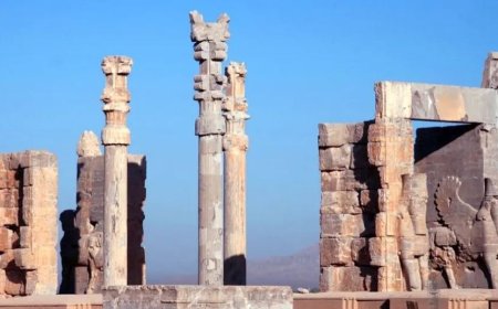 گشایش پارک جنگلی تخت جمشید پس از نیم قرن