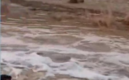نجات معجزه‌آسا کودک از رودخانه پرآب صحرای باغ لارستان توسط پدر 