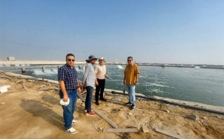مقابله با بیماری‌های میگو نیازمند مدیریت علمی