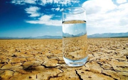 فشار بی‌سابقه‌ بر منابع آب زیرزمینی استان بوشهر؛ لزوم مشارکت همگانی