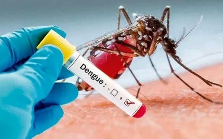۲ مبتلای قطعی  و 400مشکوک به تب دنگی  در هرمزگان