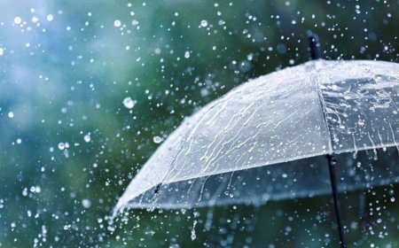 بارش بسیار شدید باران/ رویدر شمال‌غرب بندرعباس