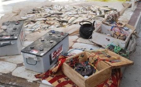 دستگیری صیادان غیرمجاز ماهی با دستگاه الکتروشوک برقی در دشتستان