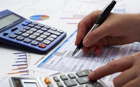خبر مدیرکل مالیاتی بوشهر برای کسبه و فعالان اقتصادی خرد و متوسط