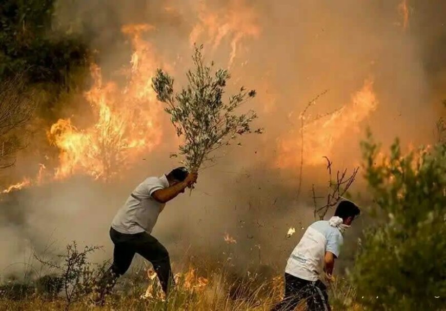 کنترل آتش سوزی مراتع و جنگل های شره دشمن زیاری