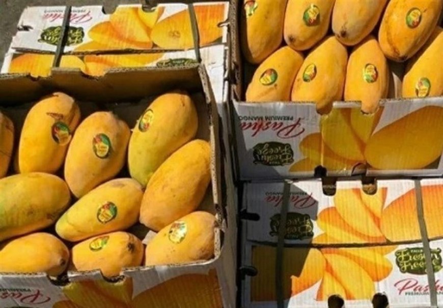 یازدهمین جشنواره شکرگزاری انبه و یاسمین گل در میناب برگزار می‌شود