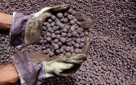 آغاز بارگیری بیش از ۸۳ هزارتُن گندله آهن در بندر شهید رجایی