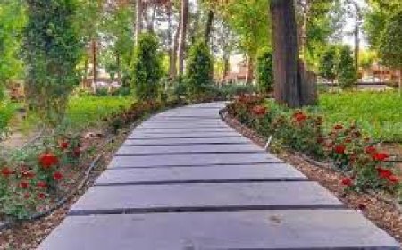 بهره برداری از بوستان خانواده  کازرون پس از۱۳سال انتظار