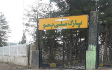 بازی ۲ پلنگ ایرانی در پارک ملی بمو