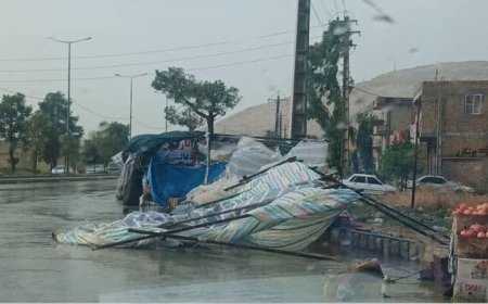 بارش شدید باران در شهر نورآباد فارس خسارت به بار آورد