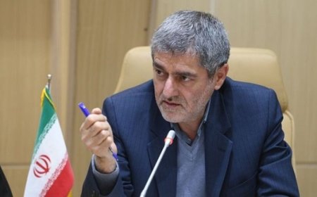 دکتر ایمانیه به عضویت پیوسته فرهنگستان علوم پزشکی ایران درآمد
