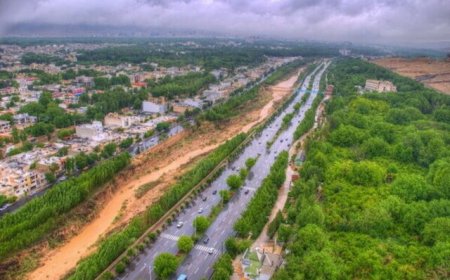 اختصاص بخشی از عوارض شهرداری شیراز برای نگهداری باغ‌ها