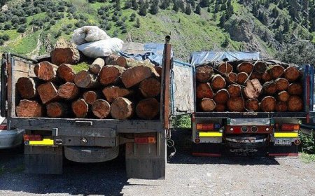 بازداشت قاچاقچیان سوخت و چوب در باشت