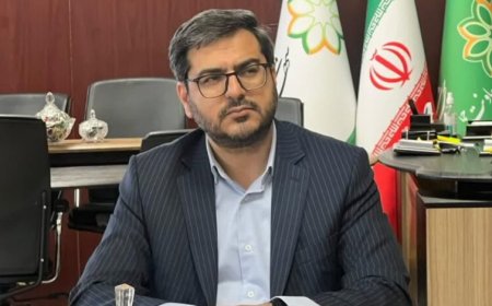 ترافیک محور زند شیراز؛ تمرکز مراکز درمانی و اداری عامل اصلی ازدحام شهری
