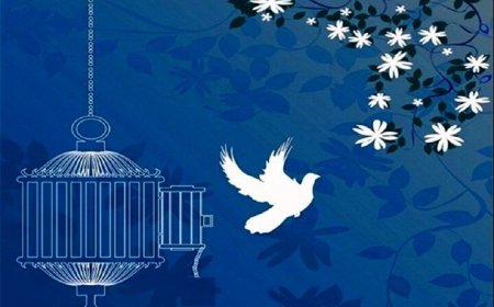 پویش «به نام محمد(ص) می‌بخشم» امیدی برای آزادی زندانیان نیازمند فارس