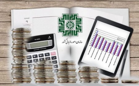 اعلام سه تغییر مهم در تسهیلات مالیاتی ماده ۱۰۰ برای صاحبان مشاغل فارس