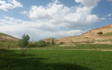 رعدوبرق و بارش پراکنده در جنوب و شرق فارس