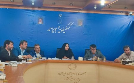 واگذاری آردهای قاچاق کشف‌شده به کارخانه ها در کهگیلویه وبویراحمد