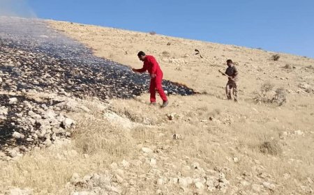 بازداشت عامل آتش سوزی مراتع حمزه خانی کاکان