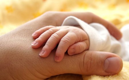 نام نو، زاد چیست؟
