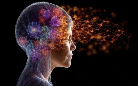 همایش پیشگیری و تشخیص به موقع بیماری آلزایمر در شیراز