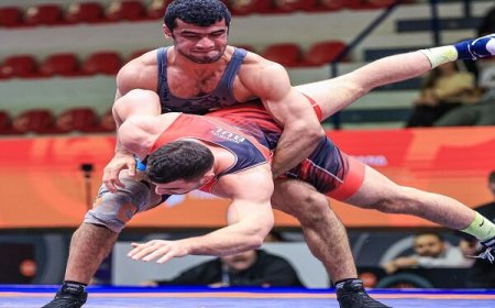 علیرضا مهمدی در نخستین مبارزه به پیروزی رسید
