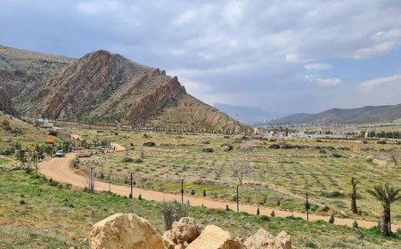 نفس‌های تازه بر بام شیراز؛ مسیر‌های سبز برای شهروندان
