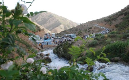 چشمه میشی؛ زلال همیشه جاری در دل دنا