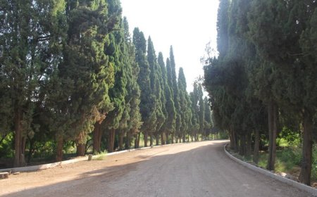 باغ تاریخی سه‌گوش شیراز توسعه می‌یابد