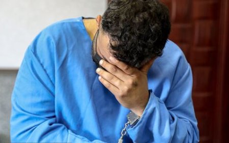 فرمانده انتظامی شیراز: سارق به عنف در این کلان‌شهر دستگیر شد