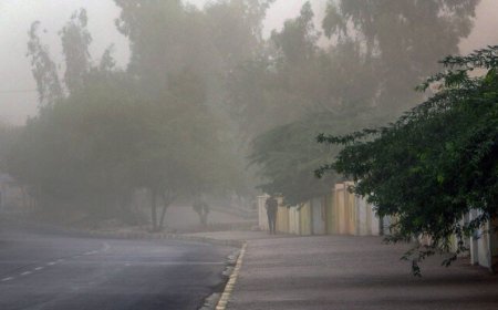 وزش باد شدید و خیزش گردوخاک در فارس