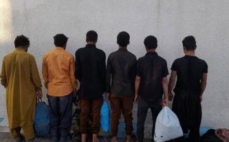 دستگیری 20 تبعه بیگانه در جم