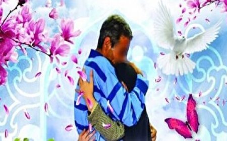 در نیمه نخست امسال/رهایی ۲۹۶ زندانی جرائم غیرعمد در فارس از بند زندان
