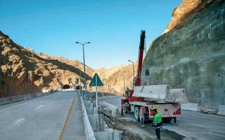 پیشرفت ۳۴ درصدی ساخت بزرگراه بوشهر–شیراز در قطعه دالکی–کنارتخته