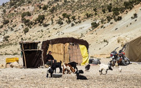 اختصاص کدپستی به خانوارهای عشایر