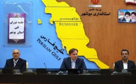 استاندار بوشهر: سینما بهمن تعیین تکلیف می‌شود