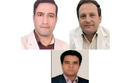 سه استاد دانشگاه جهرم در فهرست دو درصد دانشمندان برتر جهان قرار گرفتند