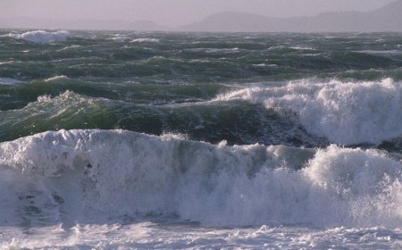 صدور هشدار سطح زرد هواشناسی بوشهر
