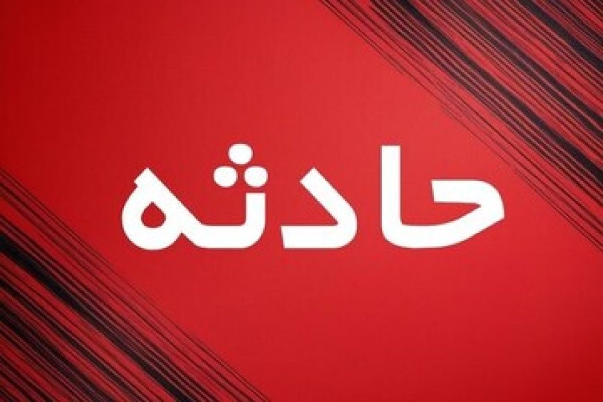 ۱۳ کارگر کارخانه تن ماهی ساحل مصدوم شدند