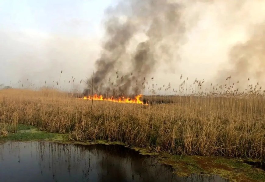 توقف خودسوزی تالاب هورالعظیم منوط به اقدام مشترک ایران و عراق است