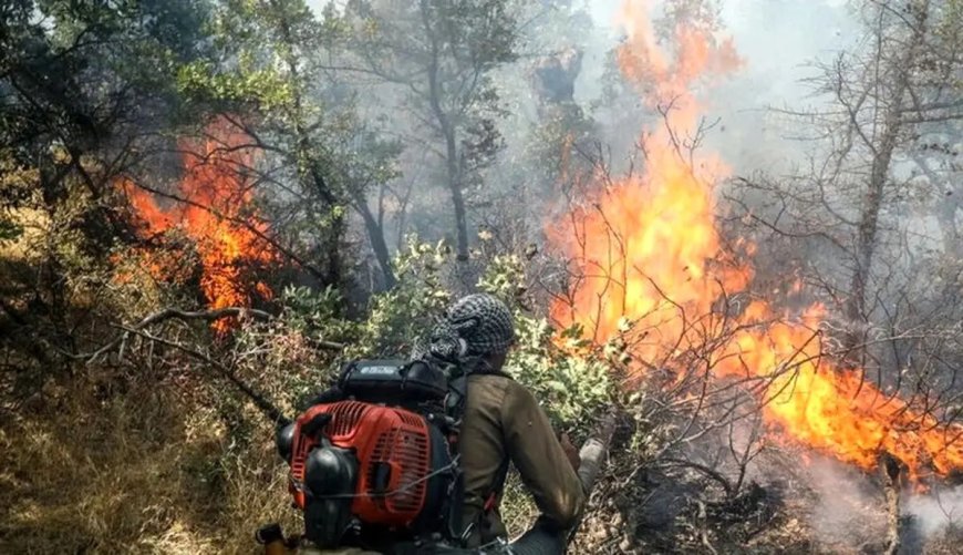 آتش‌سوزی در ارتفاعات دشتک دیل گچساران مهار شد