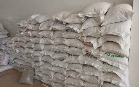 کشف ۲۲ تن برنج تقلبی در خرامه فارس