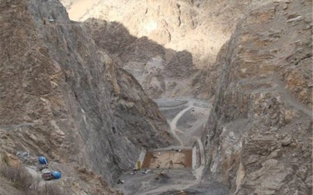 فیلم/زمین‌های تشنه دشتستان چشم انتظار ساخت سد دالکی