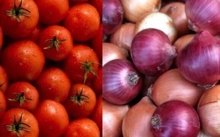 صادرات ۲۰ هزار تن گوجه فرنگی و پیاز از آباده به امارات، قطر و پاکستان