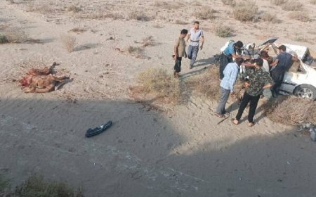 مرگ راننده جوان پس از تصادف با شتر در جاسک