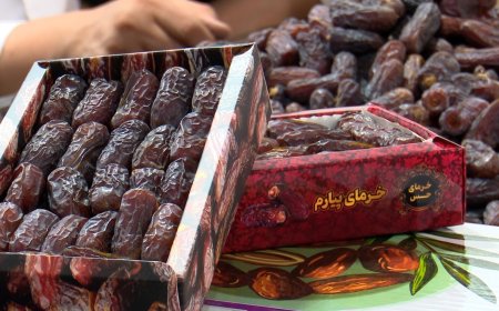پیارم هرمزگان ؛ با کیفیت‌ترین خرمای کشوربه بازار آمد