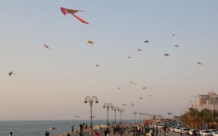 پرواز بادبادک‌ها در بوشهر
