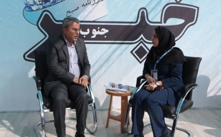شهر سلامت، برند جهانی شیراز در حوزه سلامت می‌شود